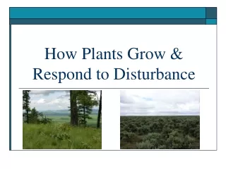 How Plants Grow &amp; Respond to Disturbance