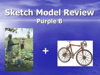 Sketch Model Review Purple B