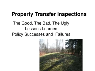 Property Transfer Inspections