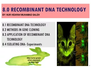 8.0 RECOMBINANT DNA TECHNOLOGY BY : NUR  HIDAYAH MUHAMAD  SALEH