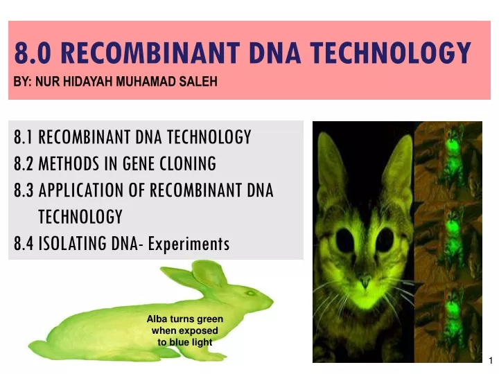 8 0 recombinant dna technology by nur hidayah muhamad saleh