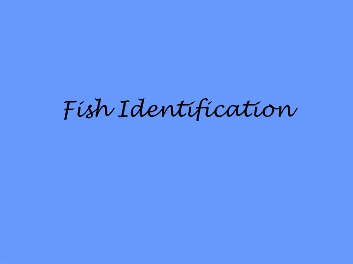 fish identification