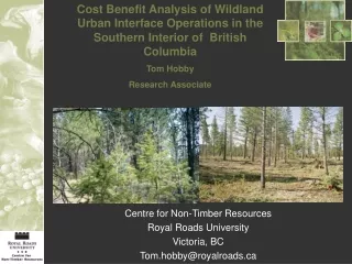 Centre for Non-Timber Resources Royal Roads University Victoria, BC Tom.hobby@royalroads
