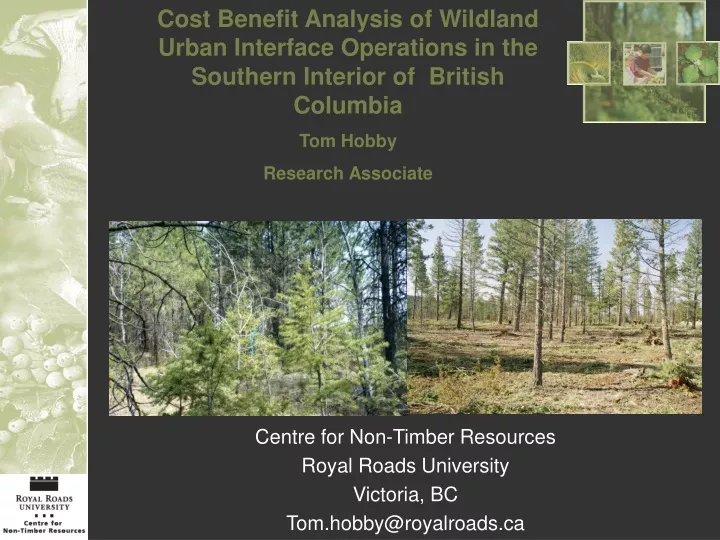 cost benefit analysis of wildland urban interface