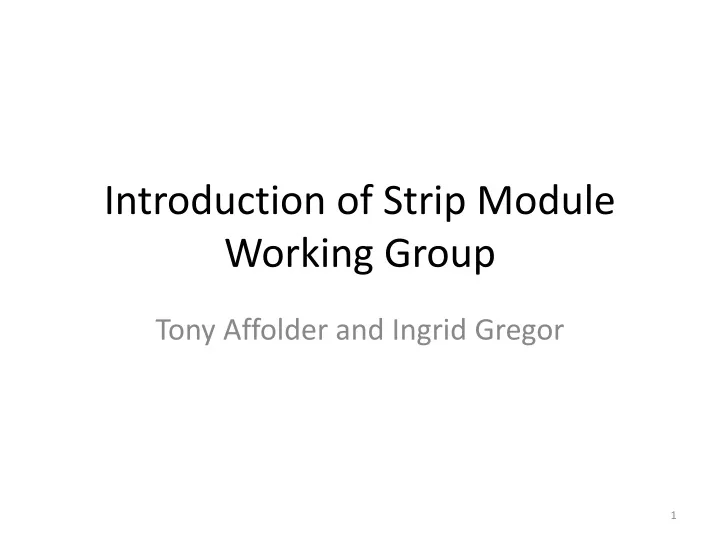 introduction of strip module working group
