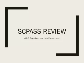 SCPASS Review