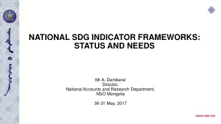 NATIONAL SDG INDICATOR FRAMEWORKS: STATUS AND NEEDS