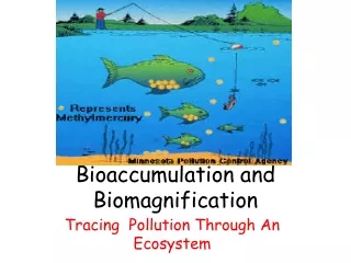 Bioaccumulation and Biomagnification