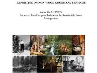 Definition for Non-Timber Forest Products