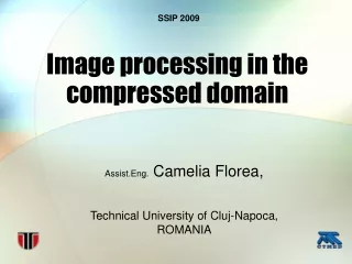 Image processing in the compressed domain
