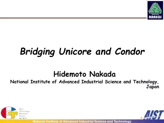 Bridging Unicore and Condor