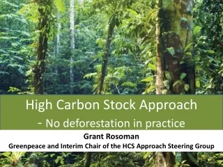 High Carbon Stock Approach -  No deforestation in practice