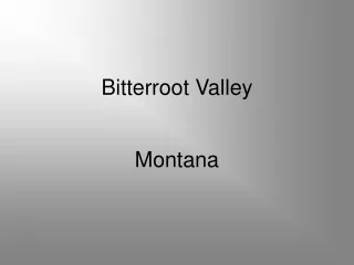 Bitterroot Valley