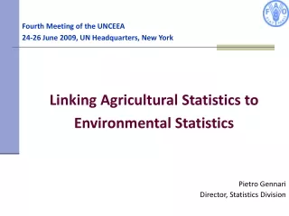 Fourth Meeting of the UNCEEA 24-26  June 2009, UN Headquarters, New York
