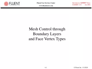 Mesh Control through Boundary Layers and Face Vertex Types