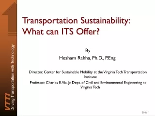 Transportation Sustainability: What can ITS Offer?