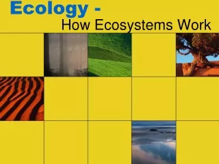 Ecology -