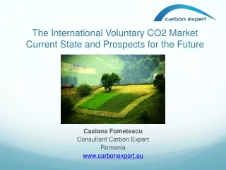 The International Voluntary CO2 Market Current State and Prospects for the Future