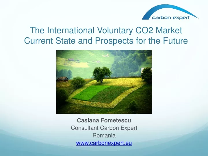 the international voluntary co2 market current state and prospects for the future
