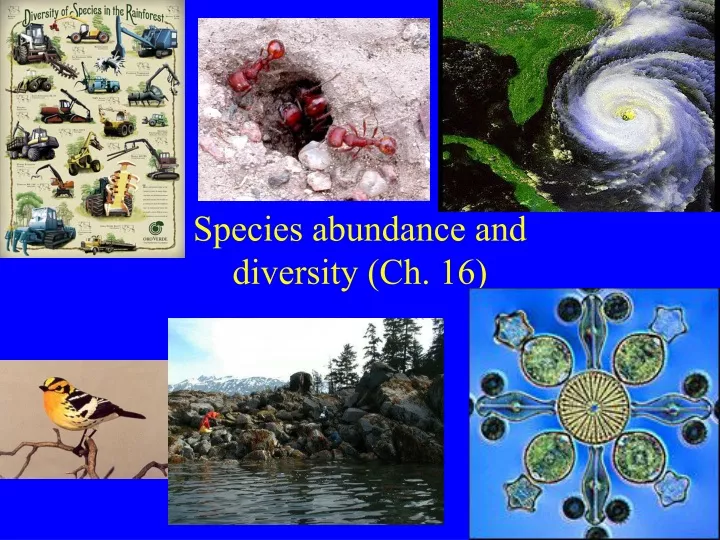 species abundance and diversity ch 16