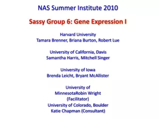 NAS Summer Institute 2010