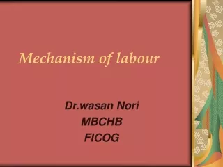Mechanism of labour