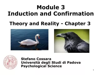 Stefano Cossara Università degli Studi di Padova Psychological Science