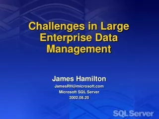 Challenges in Large Enterprise Data Management