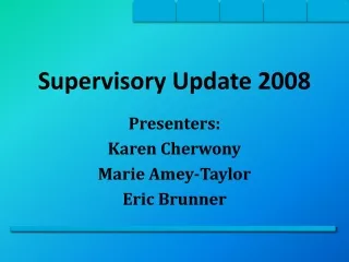 Supervisory Update 2008