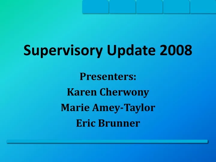 supervisory update 2008