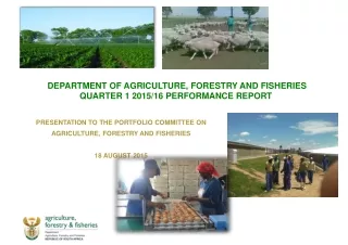 DEPARTMENT OF AGRICULTURE, FORESTRY AND FISHERIES  QUARTER 1 2015/16 PERFORMANCE REPORT