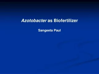 Azotobacter  as Biofertilizer Sangeeta Paul