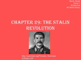 Chapter 29: The Stalin Revolution