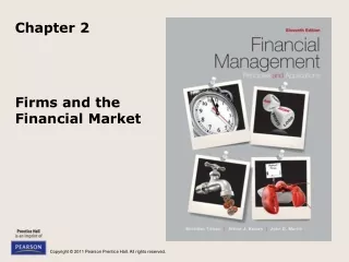 Firms and the Financial Market