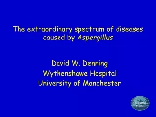 The extraordinary spectrum of diseases caused by  Aspergillus