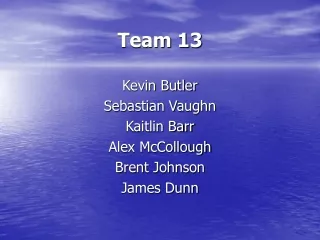 team 13