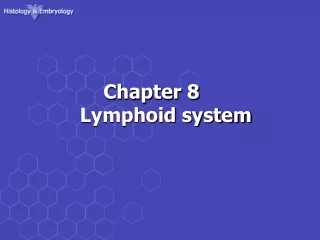 Chapter 8         Lymphoid system