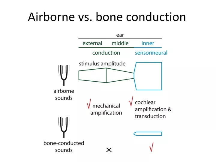 airborne vs bone conduction