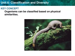 KEY CONCEPT  Organisms can be classified based on physical similarities.