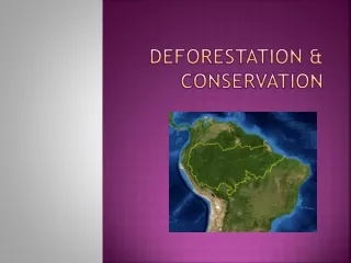 Deforestation &amp; CONSERVATION