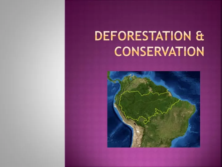 deforestation conservation