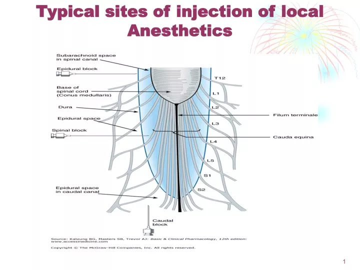 typical sites of injection of local anesthetics