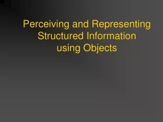 Perceiving and Representing Structured Information using Objects