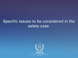 Specific  issues to be considered in the safety case.
