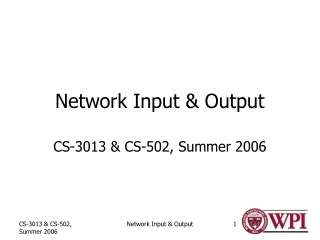 Network Input &amp; Output