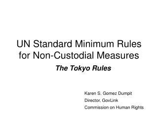 UN Standard Minimum Rules for Non-Custodial Measures