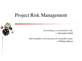 Project Risk Management