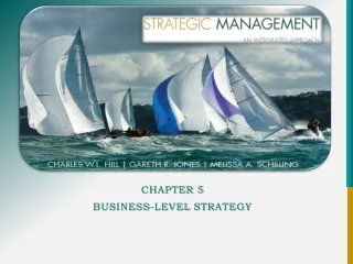 Chapter 5 Business-Level  Strategy