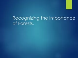 Recognizing the Importance of Forests.