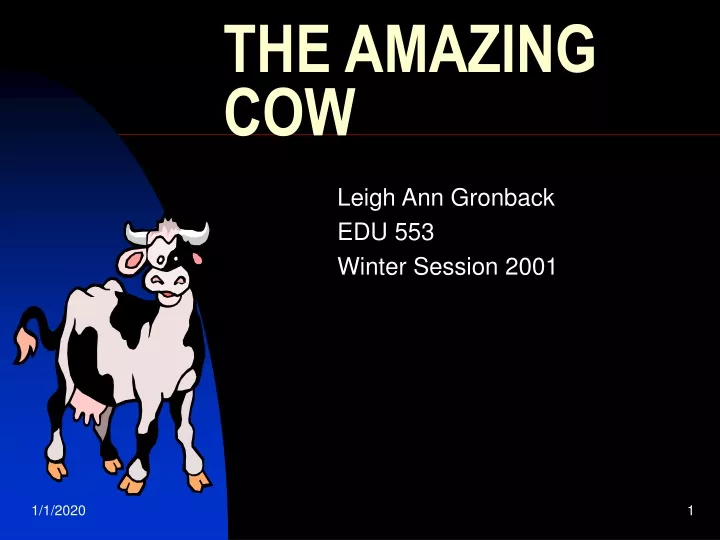 the amazing cow